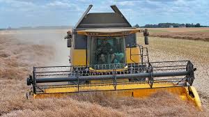 Location de moissonneuse-batteuse